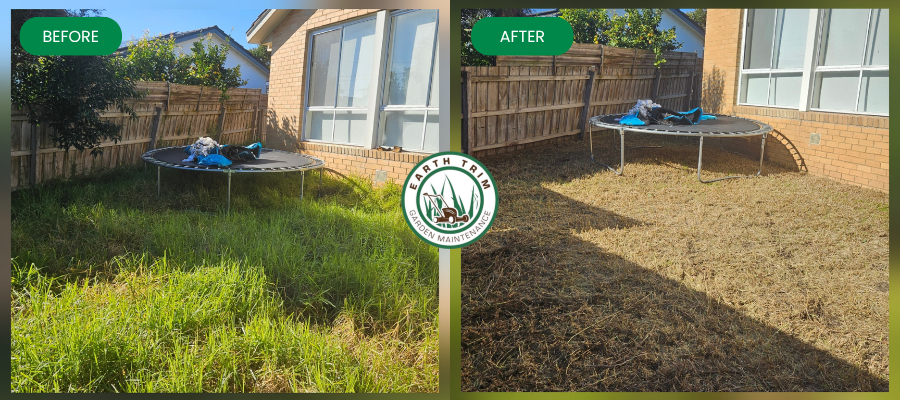 A beautifully manicured lawn in a Seaford home after a professional mowing and edging service. The grass has perfect vertical stripes, and the edges along the garden bed are cut with crisp, clean lines, creating a neat and tidy finish.