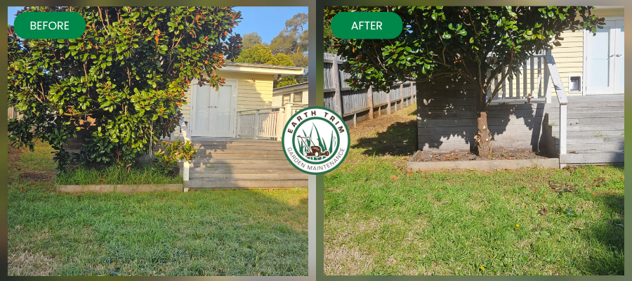 Professional gardener Ryan Gawly performing expert winter pruning on a dormant deciduous tree in a Frankston garden. He is safely using loppers to shape the tree's structure and encourage healthy spring growth.