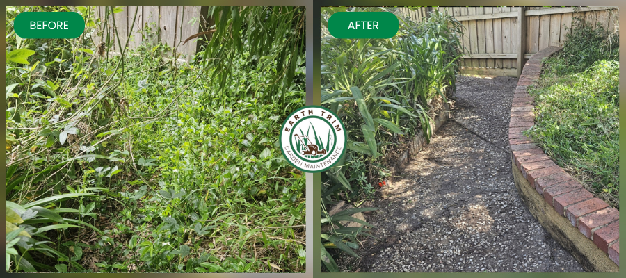 Dramatic before-and-after of a winter garden tidy up in Carrum Downs. The 'before' shows an overgrown, neglected yard, while the 'after' reveals a meticulous garden restoration with a neat lawn, weed-free beds, and expertly pruned shrubs, ready for spring.